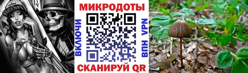хочу   Невель  Псилоцибиновые грибы GOLDEN TEACHER 